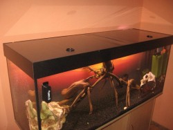 akvariumas 450L