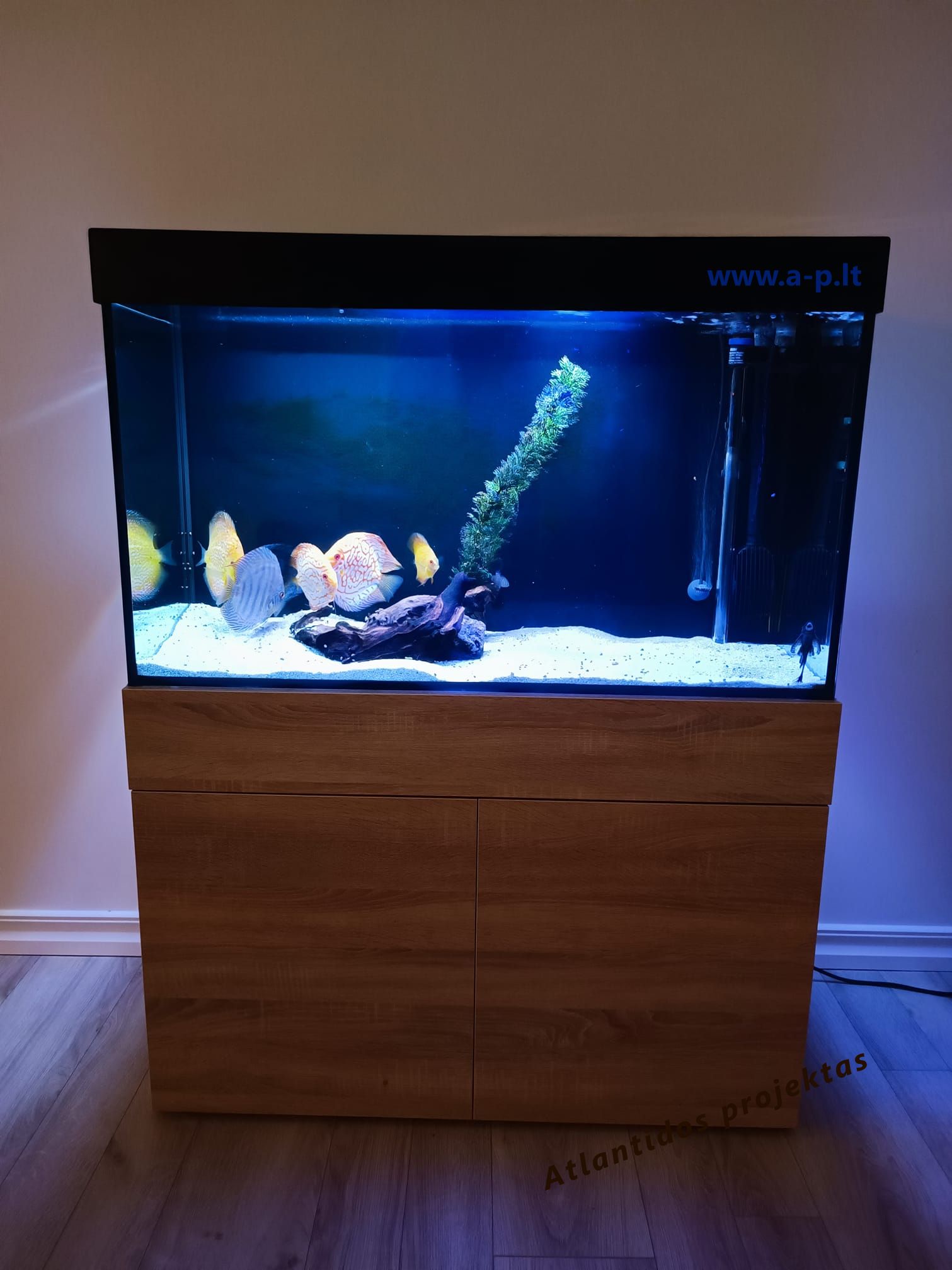 akvariumas 200L